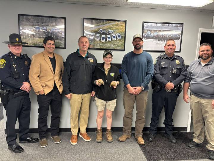Indy Zoo Tortoises Turn Up in Cardboard Box at Falls Park