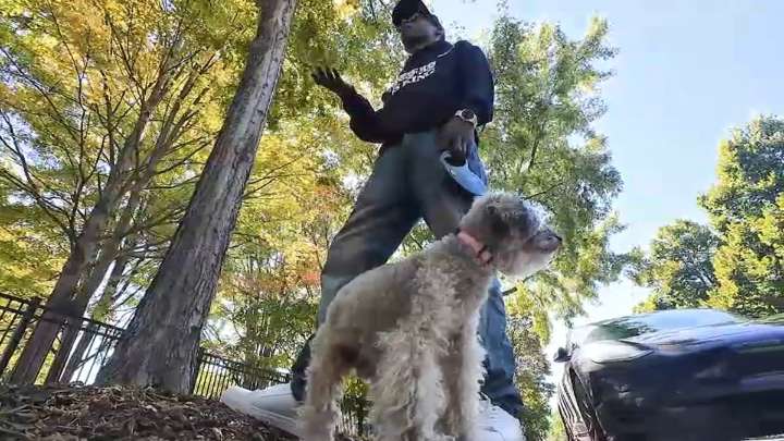 Chicago man reunited with dog that disappeared a decade ago