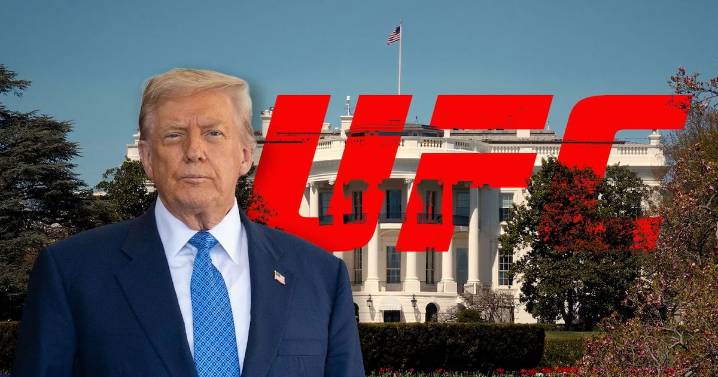 ‘Con pastel y puñetazos’: Trump anuncia evento de la UFC en la Casa Blanca en su cumpleaños