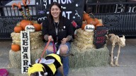 Four-legged customers enjoy Bubba's 33 Bark & Treat