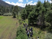 Pedirán a Clara Brugada informe sobre desapariciones en el Ajusco