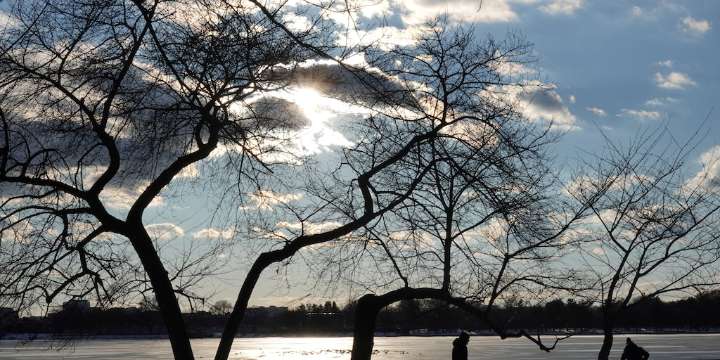 Estados del noroeste de EEUU enfrentan un fuerte temporal, se esperan más de 40 centímetros de nieve