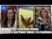 The Chicken Trend: A Gateway Drug To Farming
