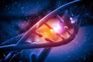 Descubren una nueva enfermedad genética que provoca debilidad muscular progresiva