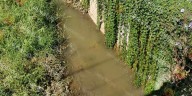 Demandan al municipio desazolve del Río San Felipe; temen inundaciones