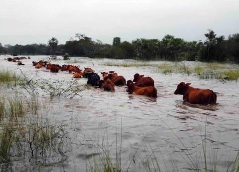 ´Respaldará´ Gobierno al sector agropecuario