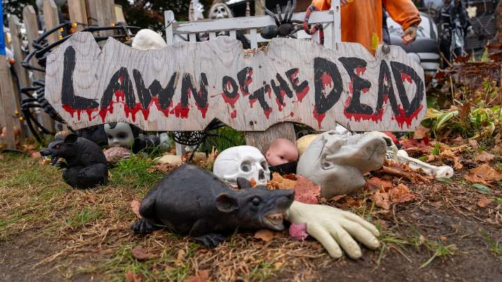 Take a tour of these spooky lawns, if you dare