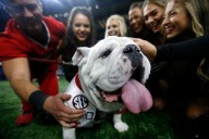Where to watch Georgia vs Auburn football streaming free today; Channel, time, odds