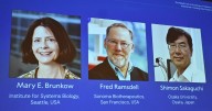 This Nobel Prize winner missed the big news while on 'digital detox'