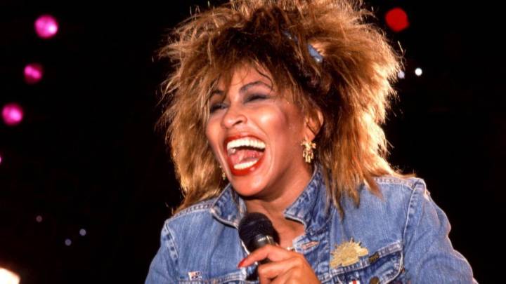 Bronca entre fanáticos por una estatua de Tina Turner: qué pasó