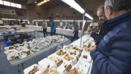 La fiesta de las setas llega a Ayerbe en un momento en que la temporada va a más