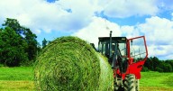 Proactive Hay Testing: Tips for Accurate Sampling and Better Feed Management