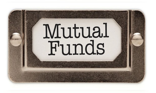 Two mutual fund houses temporarily halt fresh investments in select international schemes