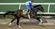 Favorite Sovereignty scratched from Breeders' Cup Classic