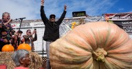 California engineer wins pumpkin contest with 2,346