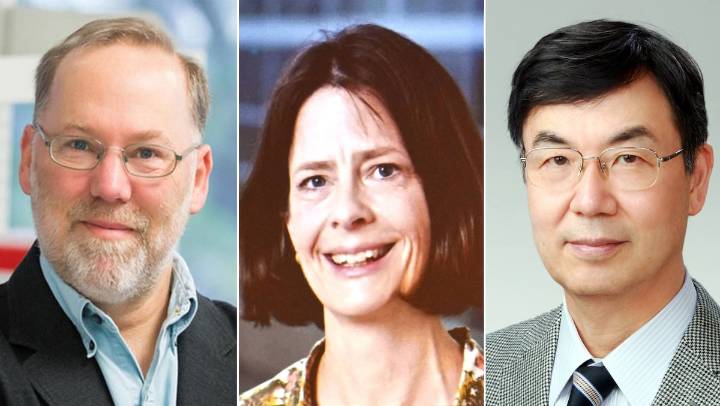 Premio Nobel de Medicina 2025 para Mary Brunkow, Fred Ramsdell y Shimon Sakaguchi por identificar a los “guardias de seguridad del sistema inmunológico”