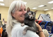 'Werewolf cat' laps up the attention at Owen Sound cat show
