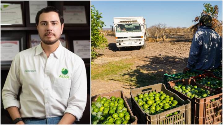 Limonero Armando Bravo: ¿el empresario fue engañado para matarlo?