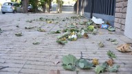 Emitieron alerta amarilla por viento Zonda y después un fuerte sur