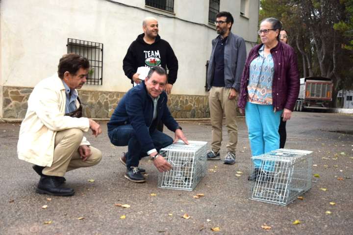 El programa de Control de Colinas Felinas alcanza los 1.300 gatos en la provincia de Cuenca