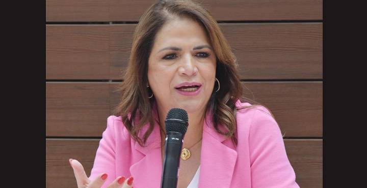 Caen remesas por redadas contra migrantes, pero crece solidaridad: Fabiola Alanís