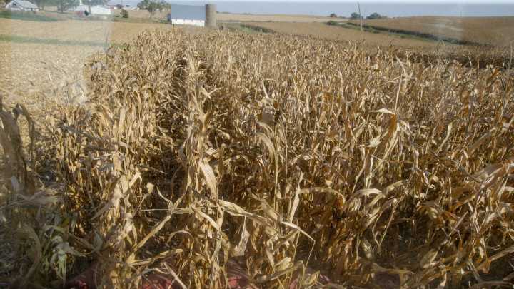 Manage fire risks during harvest