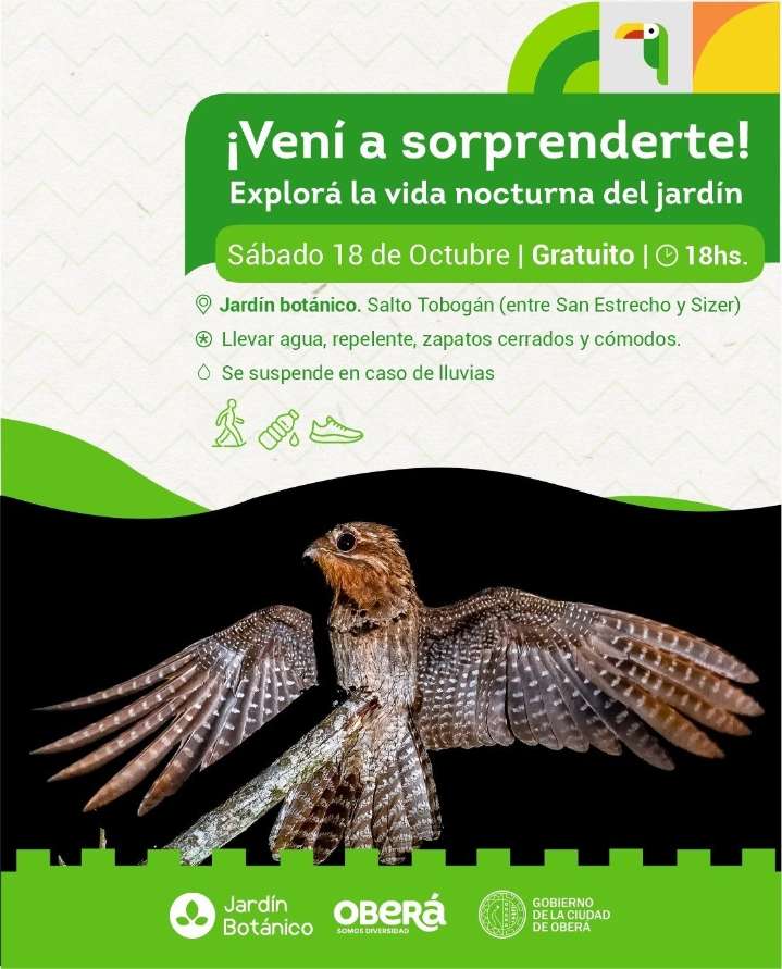 Paseo Guiado en el Jardín Botánico para descubrir los «bichitos» del monte bajo las estrellas