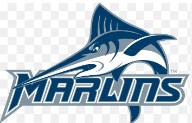 Virginia Wesleyan’s women’s volleyball win streak ends at 21