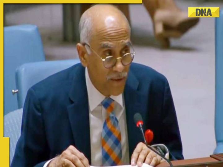 India hits back at Pakistan's allegations about Kashmiri women at UNSC: ‘Delusio