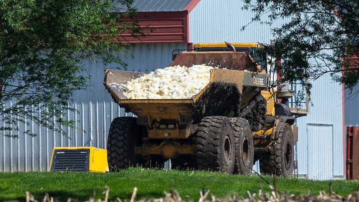 Bird flu hits a northwest Iowa flock with 42,000 turkeys