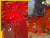 What is China’s hotpot bath? Visitors take a dip in a gigantic soup which is ins