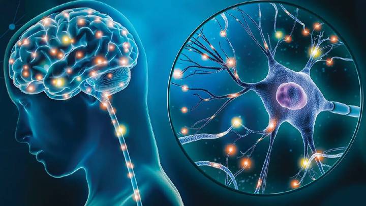 Semax Peptide as a Tool for Neuromodulation Research and Molecular Neuroscience