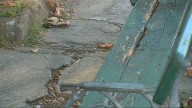 Las plazas que nadie arregla: vecinos de varias ciudades denuncian el deterioro de zonas céntricas