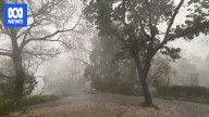 Thousands without power as Brisbane set to swelter through 37