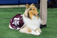 Watch Texas A&M vs Florida college football streaming free today; Channel, time, odds