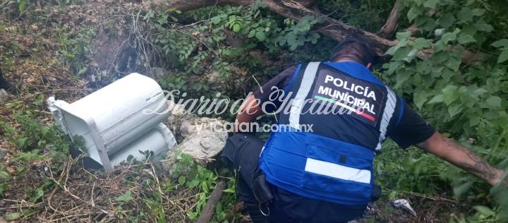 Policía Municipal de Motul rescata a dos perros que cayeron en una fosa