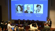 Nobel de Medicina: "La expectativa es mejorar el manejo de las enfermedades autoinmunes"