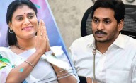 YS Sharmila Vindicates Jagan's Stand