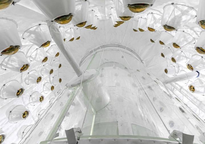A 1.600 metros bajo tierra, científicos intentan abrir la puerta al lado oculto del universo