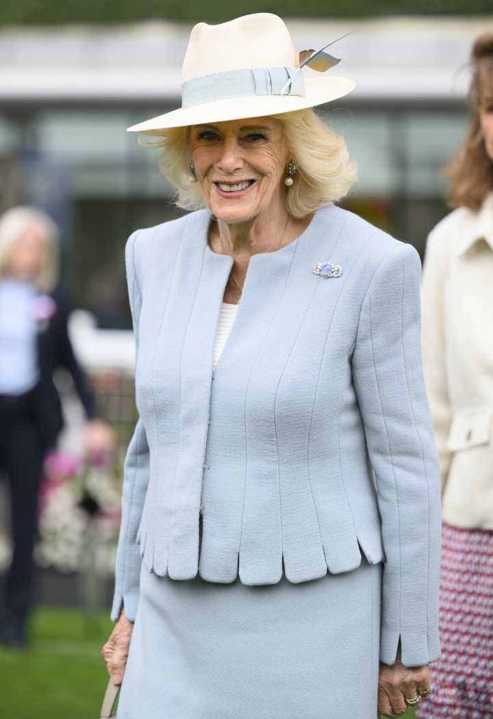 Cele|bitchy | Did Queen Camilla have a role in Prince Andrew giving up his titles?