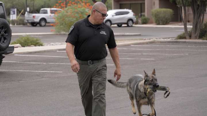 Four-legged officers help keep the peace at Tucson Medical Center Health