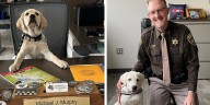 Livingston County Sheriff’s Office adds a furry face to the team