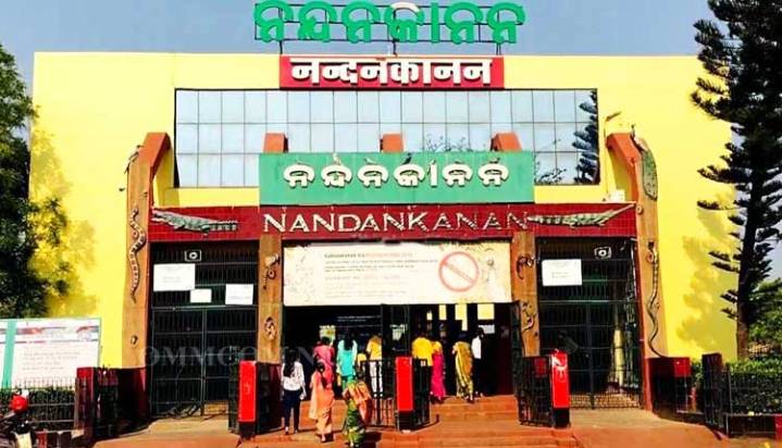 Cyclone Alert: Nandankanan Zoological Park, State Botanical Garden To Remain Closed Tomorrow