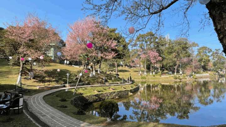 CM defends Festivals, highlights Rs 130 cr returns