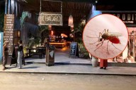 Vecinos de Tulum exigen fumigación urgente por plaga de mosquitos; temen brote de dengue