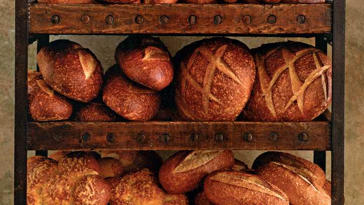 Building community with sourdough