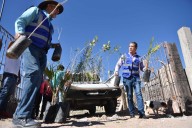 Entrega Estado árboles a familias de Los Kilómetros