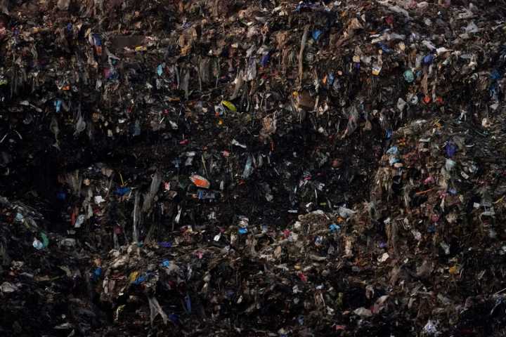 Food waste hits wallet, planet