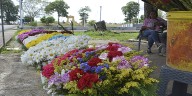 Florista esperan repunte de ventas por día de Los Muertos