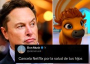 Elon Musk cancela Netflix por “la salud de los niños”